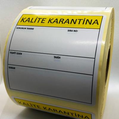 Thumbnail 01157e80 Ceda 41c1 A9af B952465faf8f